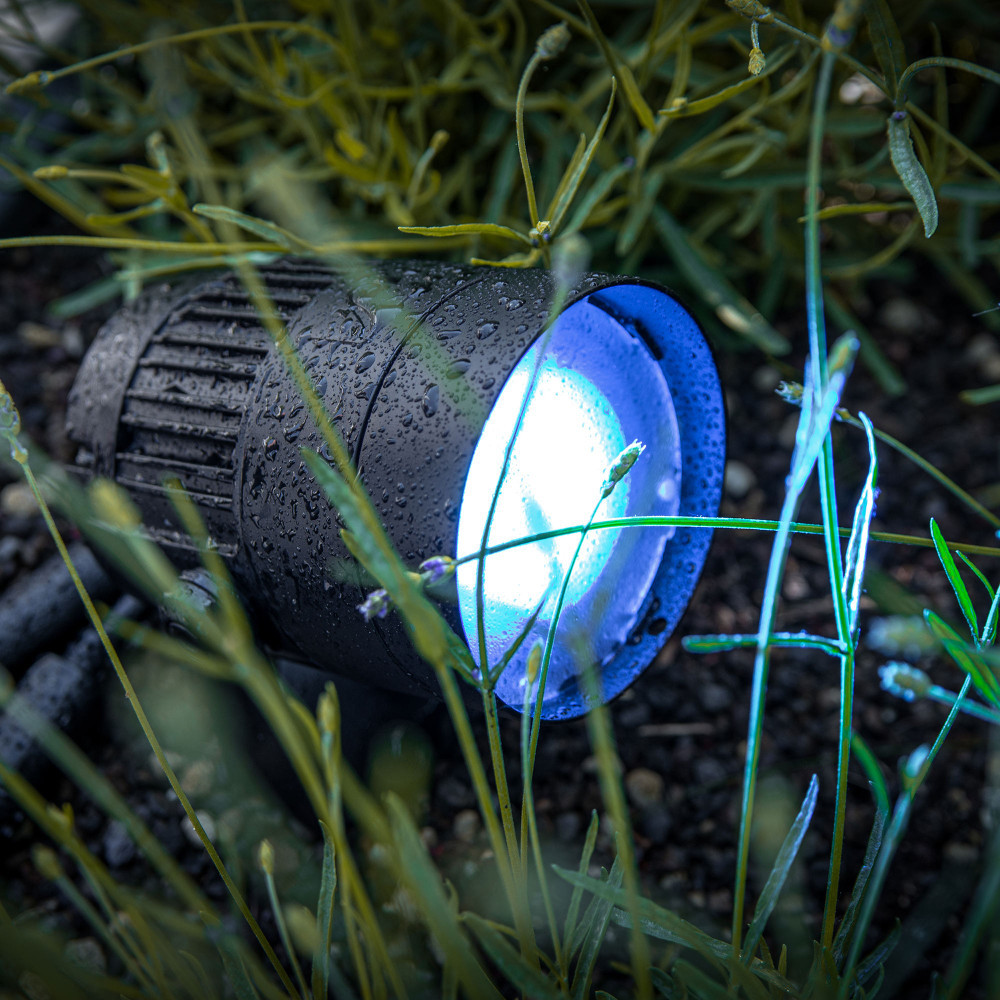 Cameo Q-SPOT 40i Kompakter Outdoor-Spot mit 40W RGBA-LED