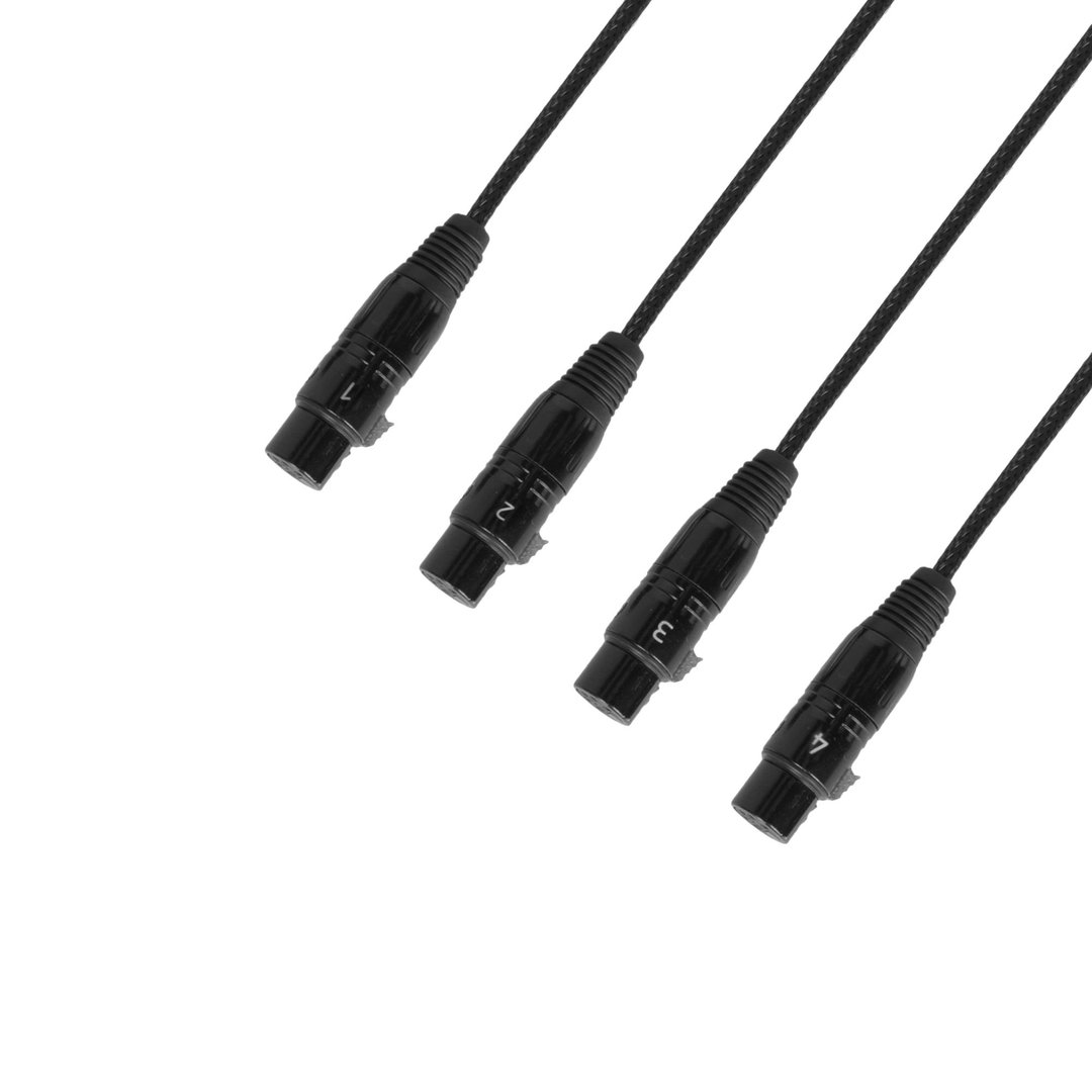 Adam Hall Cables  4 STAR CATBOX XF3  Audio & DMX Multicore | Adam Hall® 4 XLR 3-Pol Female x Cat.6a