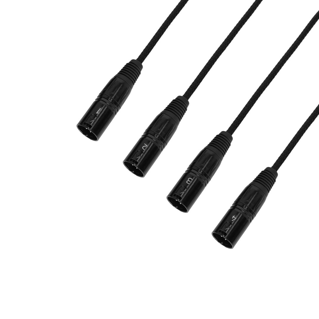 Adam Hall Cables 4 STAR CATBOX XM3 Audio & DMX Multicore | Adam Hall® 4 XLR 3-Pol Male x Cat.6a