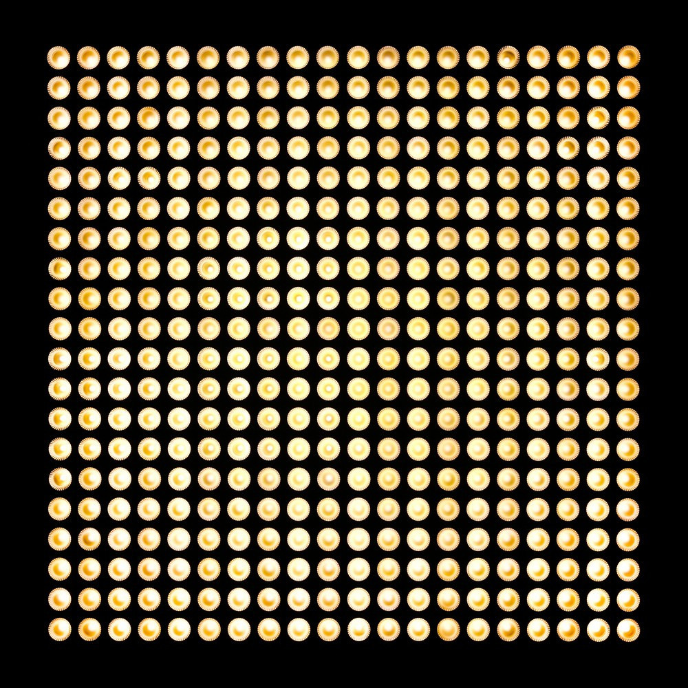 Cameo MATRIX PANEL 3 WW 5 x 5 LED Matrix Panel